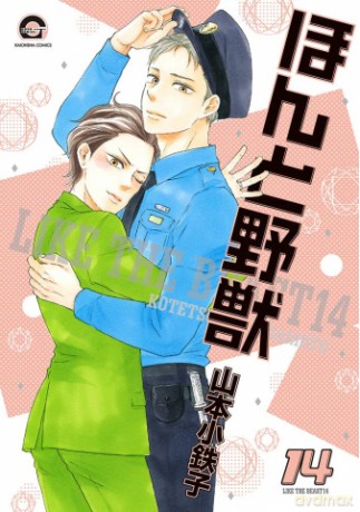 Prawdziwa bestia (Tom 14) - Kotetsuko Yamamoto [KOMIKS]