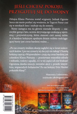 Cisza przed burzą. Wojownicy (Tom 4) - Erin Hunter [KSIĄŻKA]