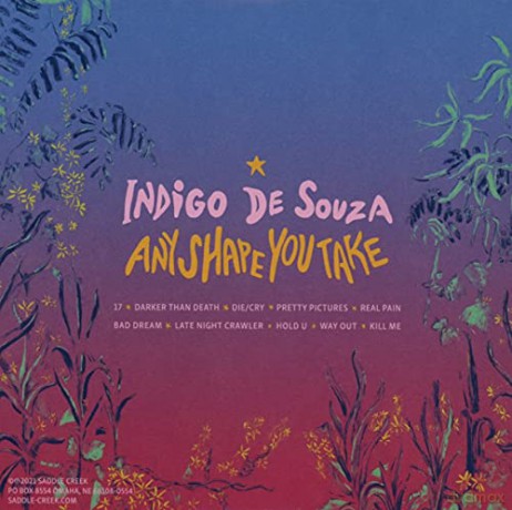 De Souza,Indigo: Any Shape You Take [CD]