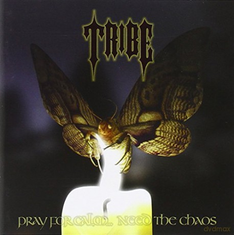 Tribe: Pray For CalmNeed The Chaos [CD]
