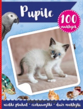 100 naklejek. Pupile [KSIĄŻKA]