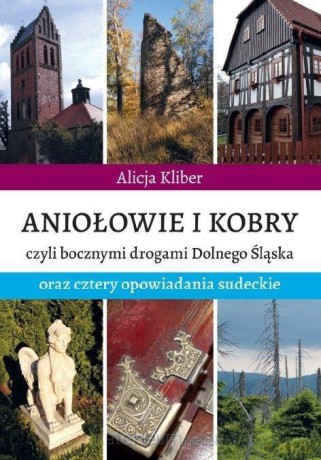Aniołowie i kobry - Alicja Kliber [KSIĄŻKA]