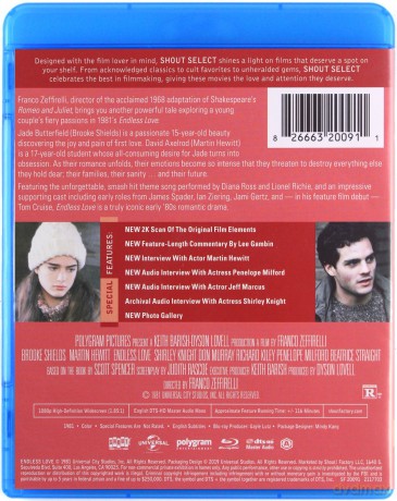 Endless Love (Niekończąca się miłość) [Blu-Ray]