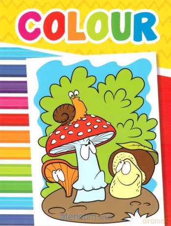 Colour Grzybki [KSIĄŻKA]