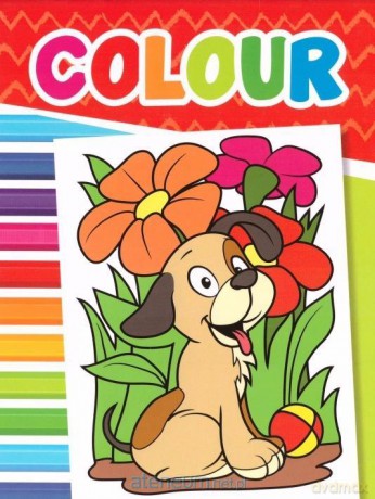 Colour Obrazki na wsi [KSIĄŻKA]