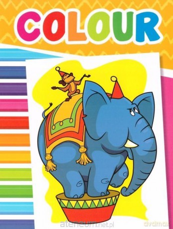 Colour Obrazki zoo [KSIĄŻKA]