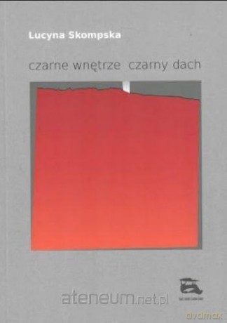 czarne wnętrze czarny dach - Lucyna Skompska [KSIĄŻKA]