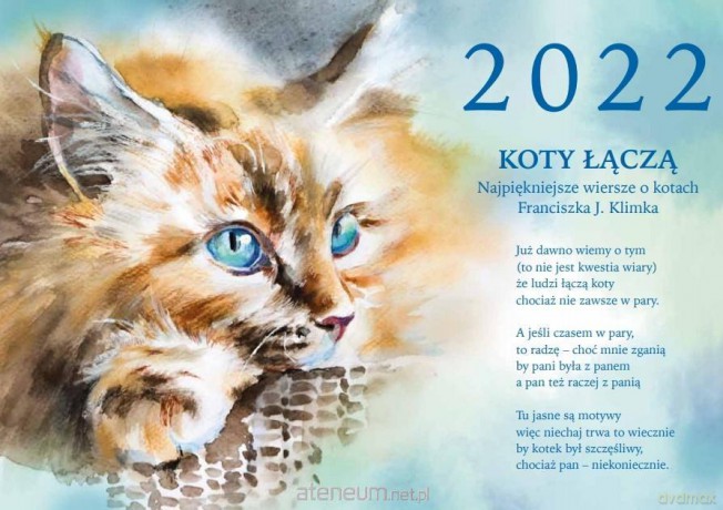 Kalendarz 2022 Koty [KSIĄŻKA]