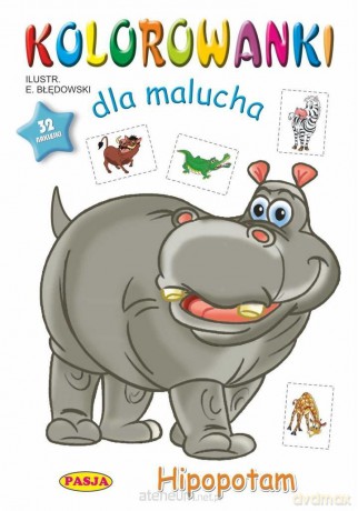 Kolorowanki dla malucha Hipopotam [KSIĄŻKA]
