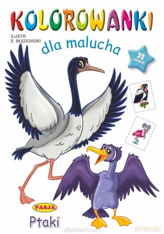 Kolorowanki dla malucha Ptaki [KSIĄŻKA]