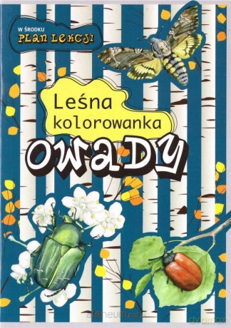 Leśna kolorowanka. Owady - Katarzyna Kopiec-Sekieta, Eliza Kalinowska [KSIĄŻKA]