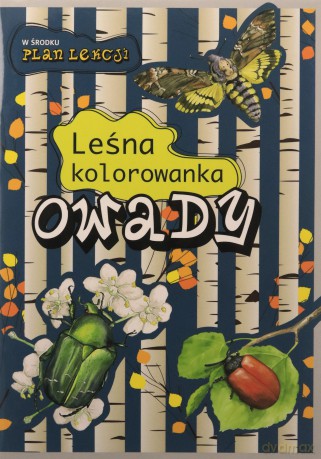 Leśna kolorowanka. Owady - Katarzyna Kopiec-Sekieta, Eliza Kalinowska [KSIĄŻKA]