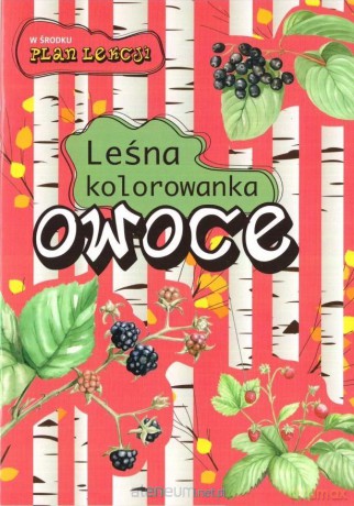 Leśna kolorowanka. Owoce - Katarzyna Kopiec-Sekieta, Eliza Kalinowska [KSIĄŻKA]
