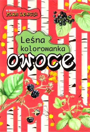 Leśna kolorowanka. Owoce - Katarzyna Kopiec-Sekieta, Eliza Kalinowska [KSIĄŻKA]