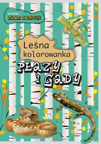 Leśna kolorowanka. Płazy i gady - Katarzyna Kopiec-Sekieta, Eliza Goszczyńska [KSIĄŻKA]