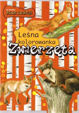 Leśna kolorowanka. Zwierzęta - Katarzyna Kopiec-Sekieta, Eliza Goszczyńska [KSIĄŻKA]