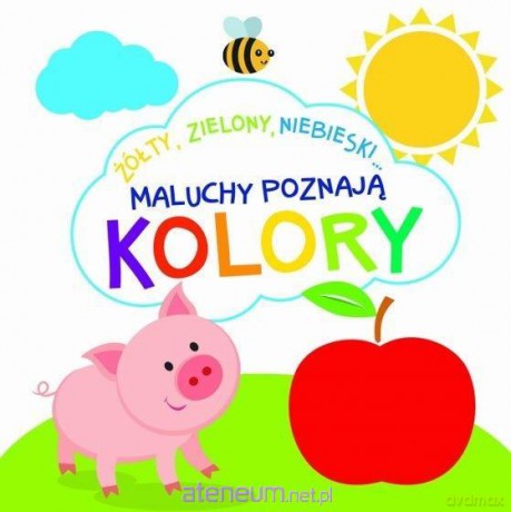 Maluchy poznają kolory - Beata Białogłowska-Piwko [KSIĄŻKA]