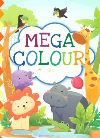 Mega Colour [KSIĄŻKA]