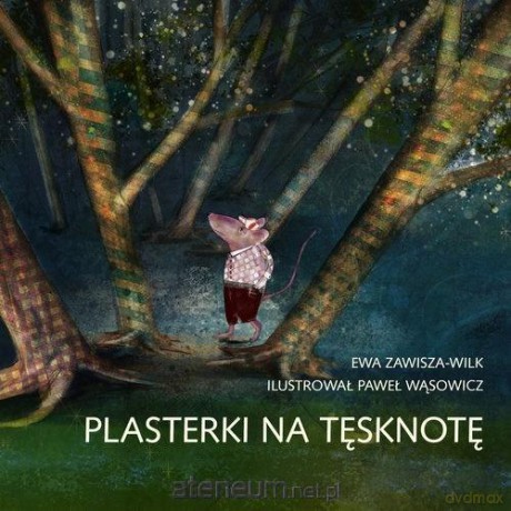 Plasterki na tęsknotę - Ewa Zawisza-Wilk, Paweł Wąsowicz [KSIĄŻKA]