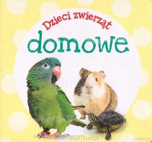 Wiem wszystko [KSIĄŻKA]