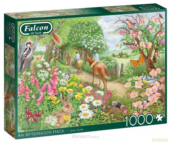 JUMBO 1000 el. Falcon Popołudniowa przejażdżka [PUZZLE]