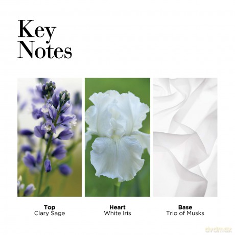 PROCT ELIZABETH ARDEN White Tea edt 100ml+BC100