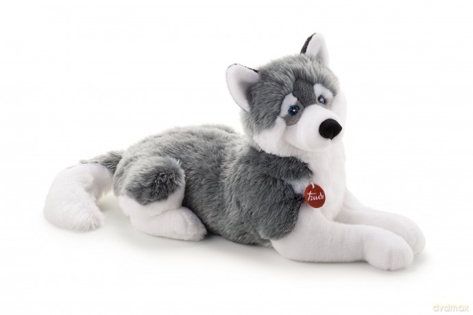 Maskotka Husky Marcus XL 22274