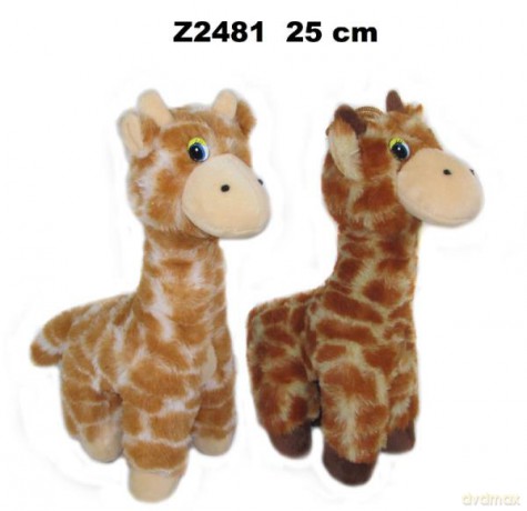 Żyrafa 2 kolory