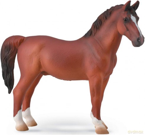 Hackney Stallion Chestnut