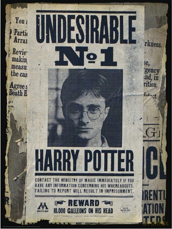 Harry Potter Magiczne puzzle-zdrapka Harry Potter poszukiwany 500 el.