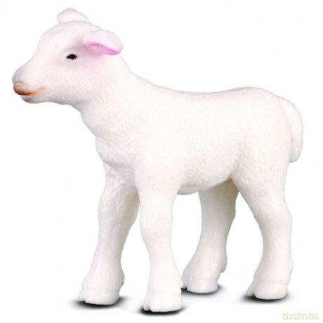 Jagnię