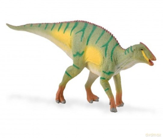 Kamuusaurus