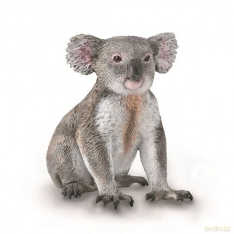 Miś Koala