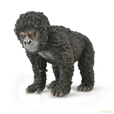 Mountain Gorilla Baby