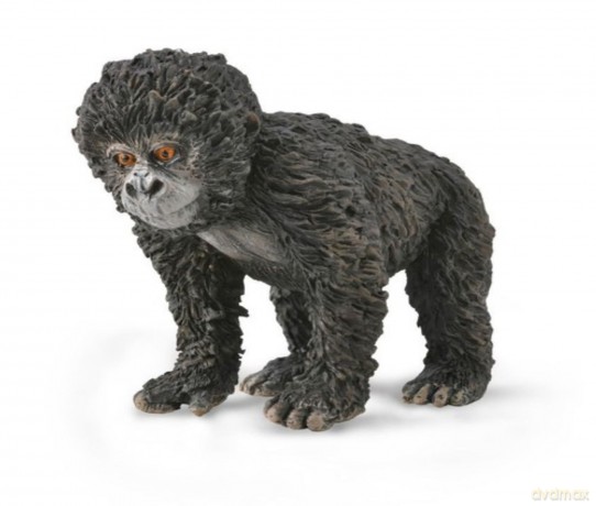Mountain Gorilla Baby