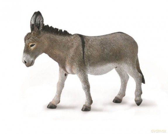 Osioł