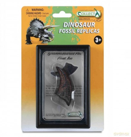 Pierwszy pazur tyranozaura
