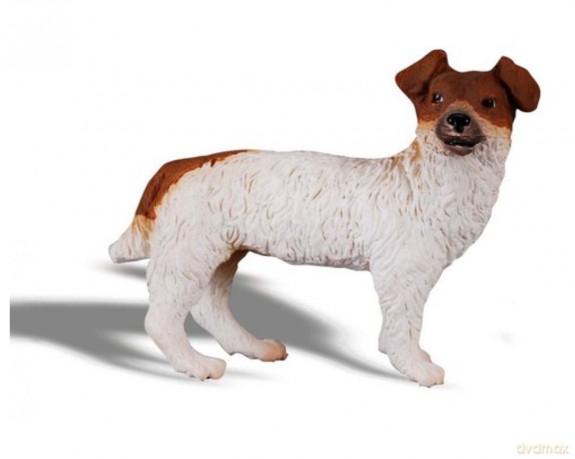 Pies Jack Russell Terier
