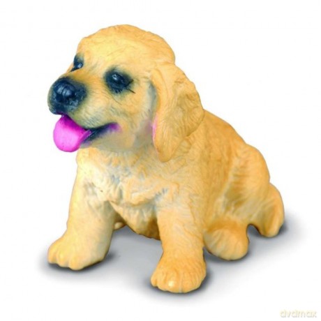 Pies rasy Golden Retriever szczenię