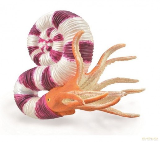 Pravitoceras
