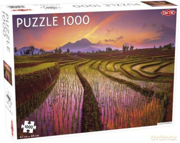 Puzzle Fields in Indonesia 1000 el.