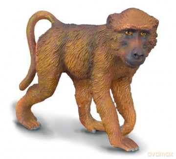 Samiec pawiana