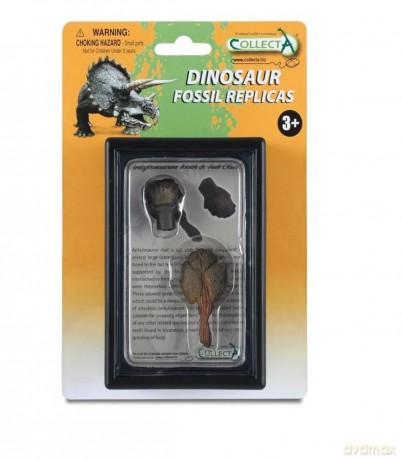 Ząb Triceratopsa