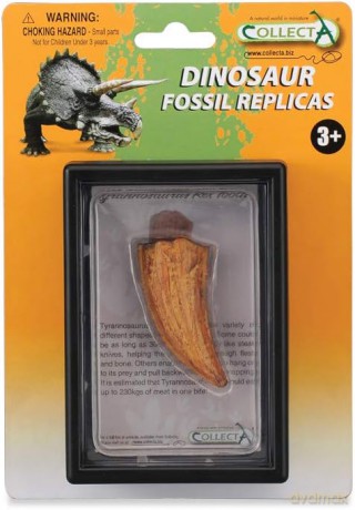 Ząb Tyranozaurus red