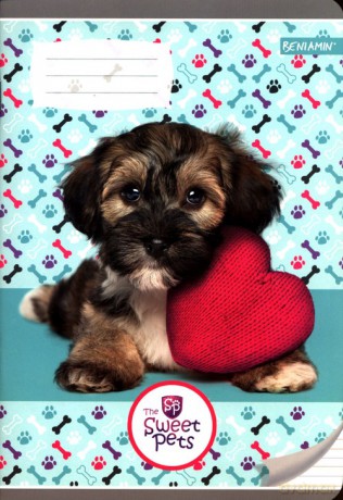 Zeszyt A5 w trzy linie kolorowe 16 kartek Sweet Pets [KSIĄŻKA]