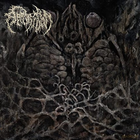 Apparition: Feel [CD]