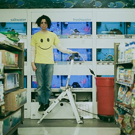 Charlie Hickey: Count The Stairs (Silver) [Winyl]