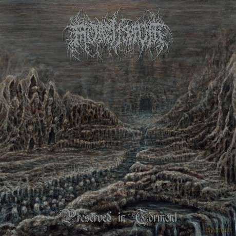 Mortiferum: Preserved In Torment [Winyl]