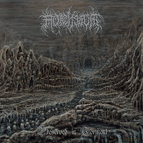 Mortiferum: Preserved In Torment [Winyl]