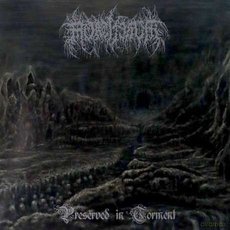 Mortiferum: Preserved In Torment [Winyl]